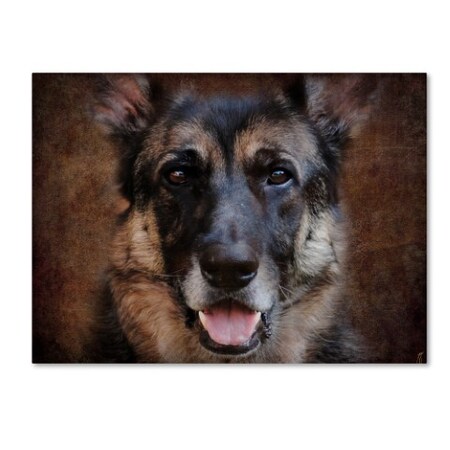Trademark Fine Art Jai Johnson 'German Shepherd Face' Canvas Art, 24x32 ALI13835-C2432GG